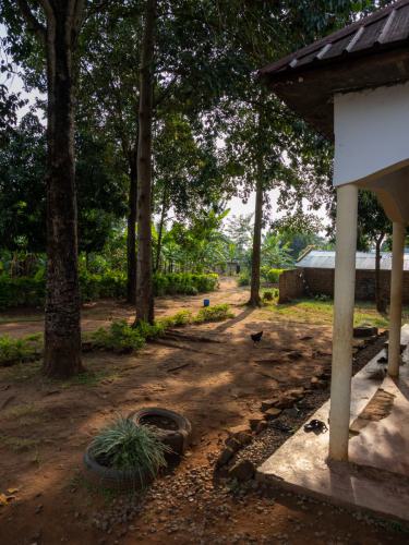 Blick von der kleinen Terrasse