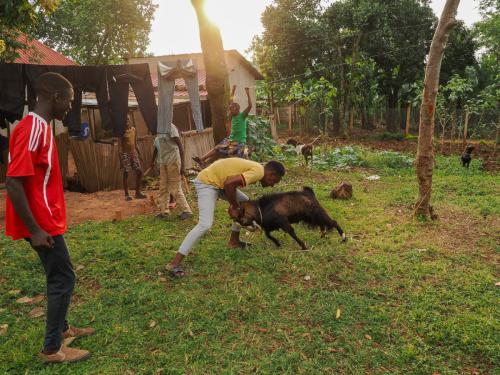 Joseph provoziert den Ziegenbock ;)